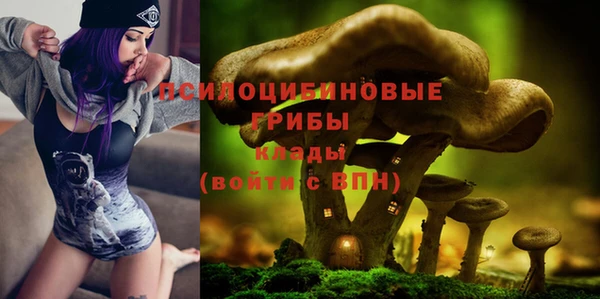 таблы Костерёво