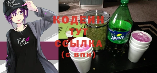 стаф Киренск
