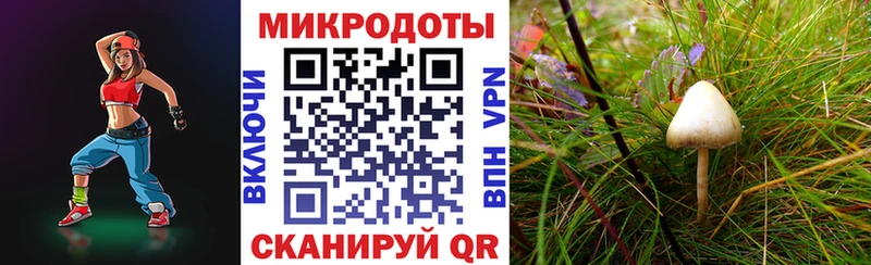 Псилоцибиновые грибы ЛСД  hydra   Слюдянка 